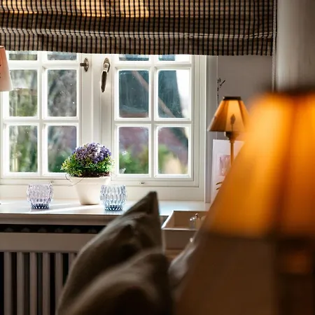 Sylter Seestern App Lavendel *