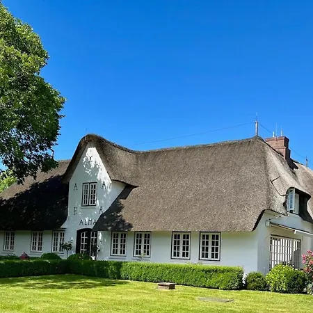 Sylter Seestern App Lavendel * Morsum (Sylt)