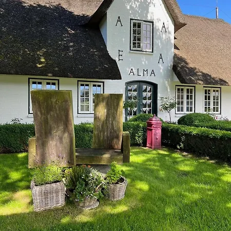 Sylter Seestern App Lavendel