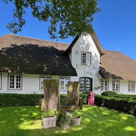 Sylter Seestern App Lavendel Morsum (Sylt)