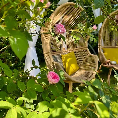Apartment Sylter Seestern App Lavendel Morsum (Sylt)