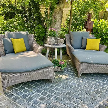 Sylter Seestern App Lavendel