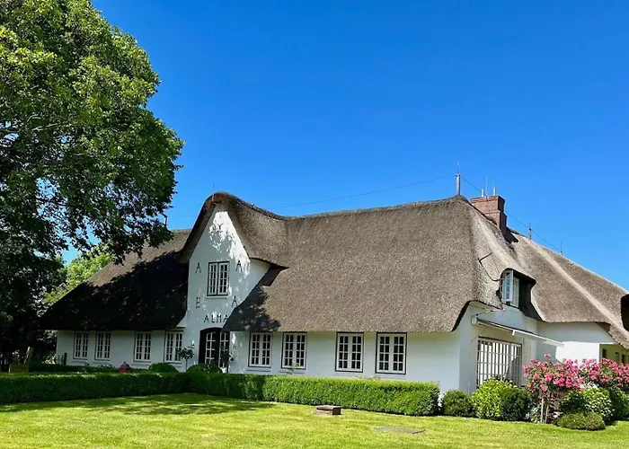 Sylter Seestern App Lavendel * 摩尔苏姆