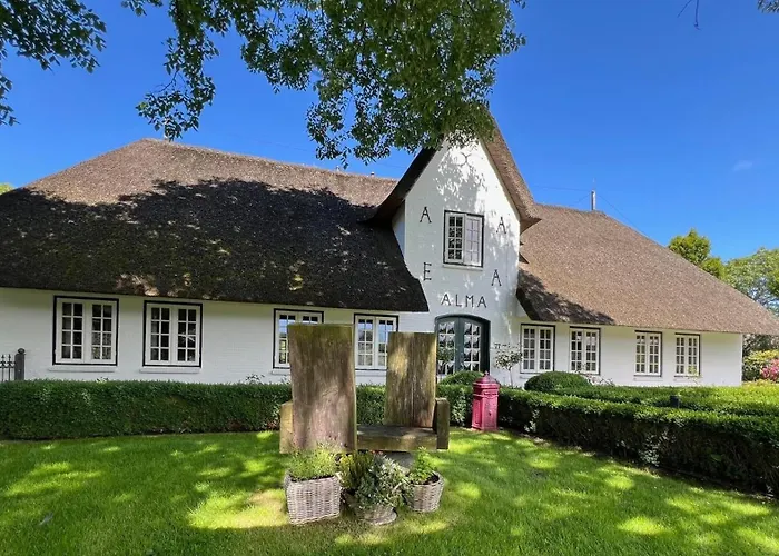 Sylter Seestern App Lavendel 摩尔苏姆